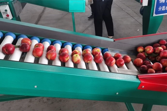 Nuts Machine