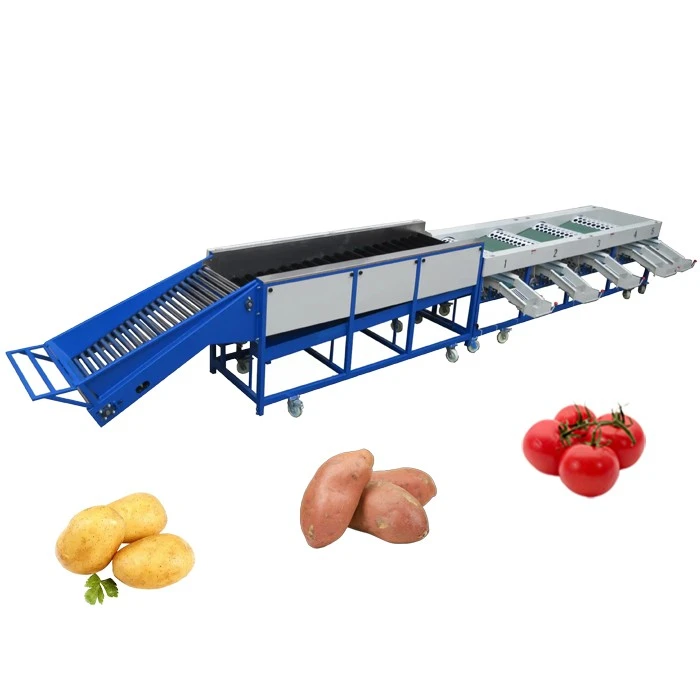 Vegetable grading equipment 1